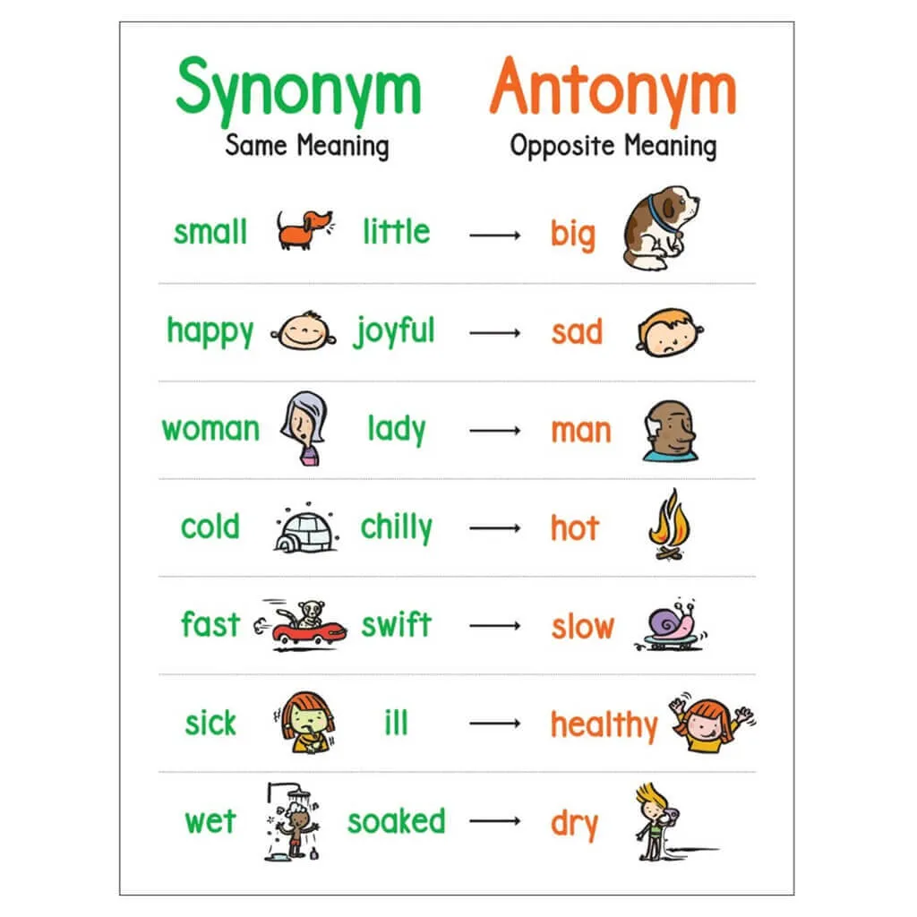 Anchor Chart: Synonym & Antonym