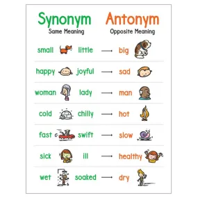 Anchor Chart: Synonym & Antonym