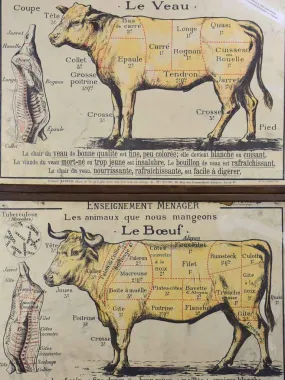 Antique French butcher's cut charts - beef and veal