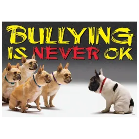 Bullying Is Never Ok Poster
