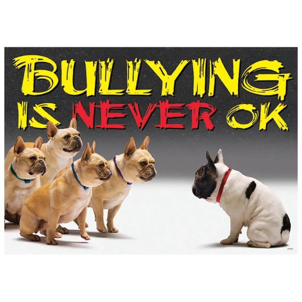 Bullying Is Never Ok Poster