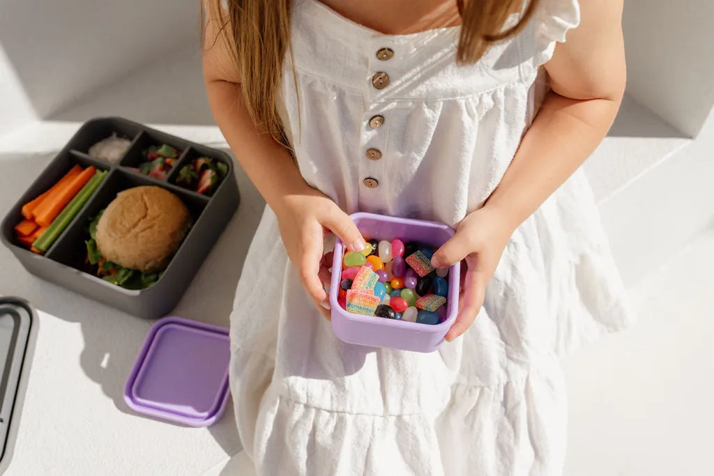 Lilac Snack Container