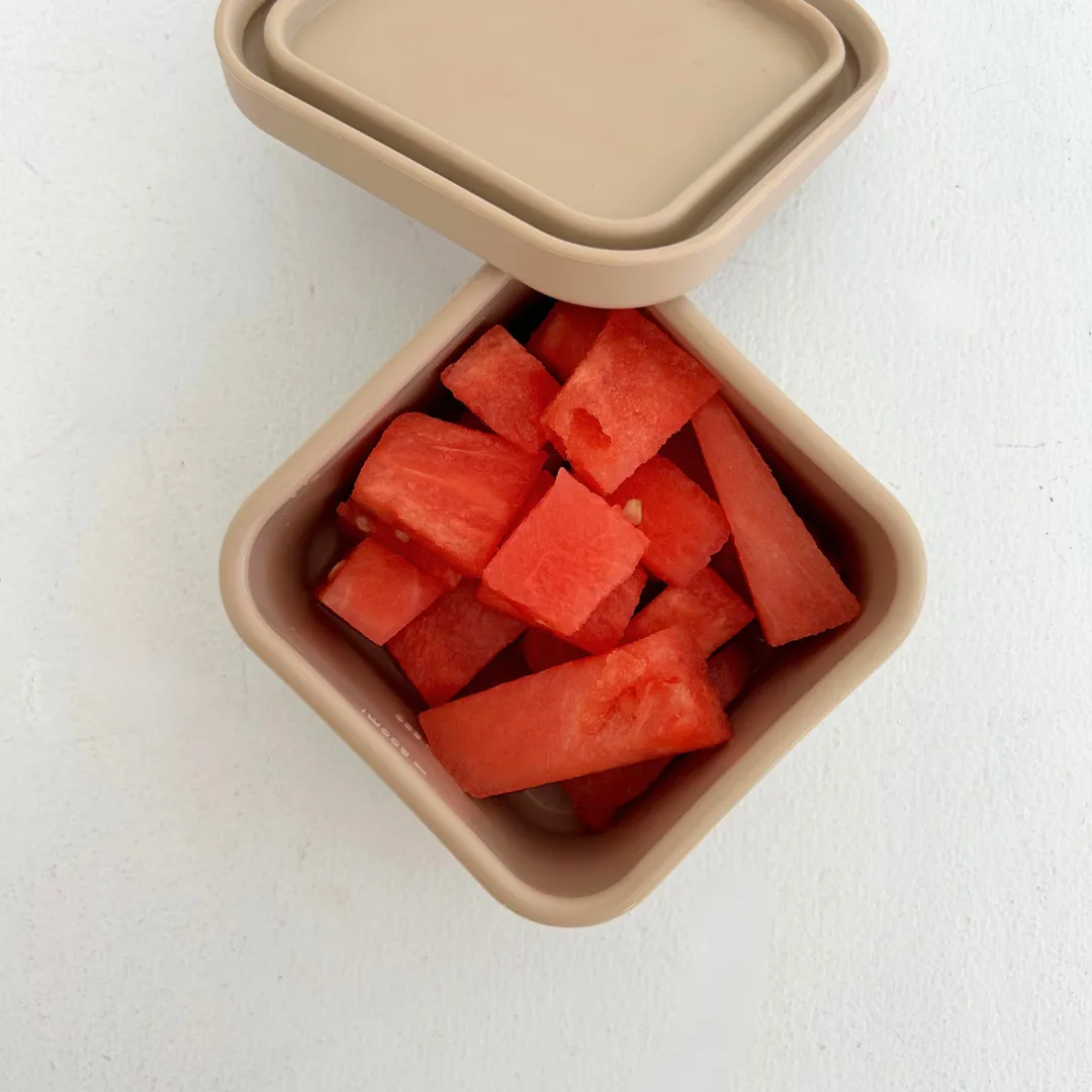 Nude Snack Container
