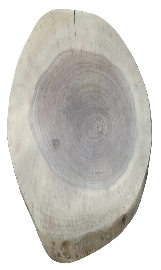 Oval Cookies