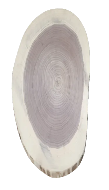 Oval Cookies