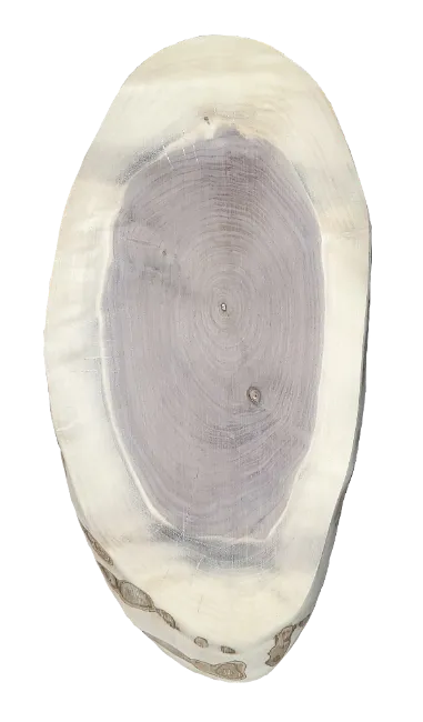 Oval Cookies