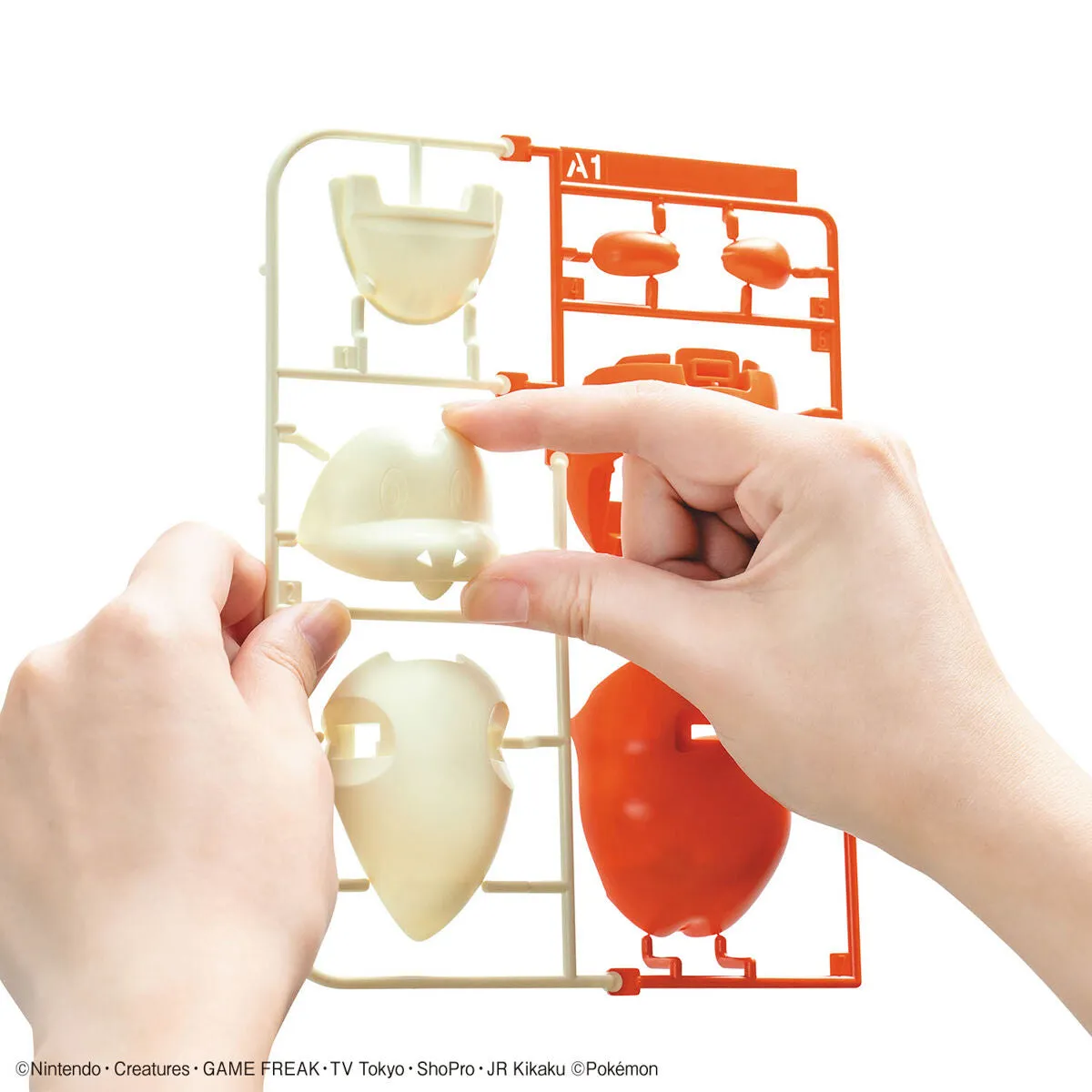 Pokemon Model Kit Quick!! 20 Fuecoco/Chochodile