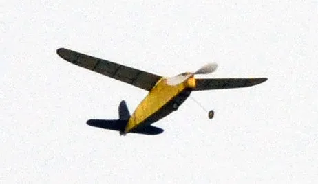 Scientific Bantam SHORT KIT