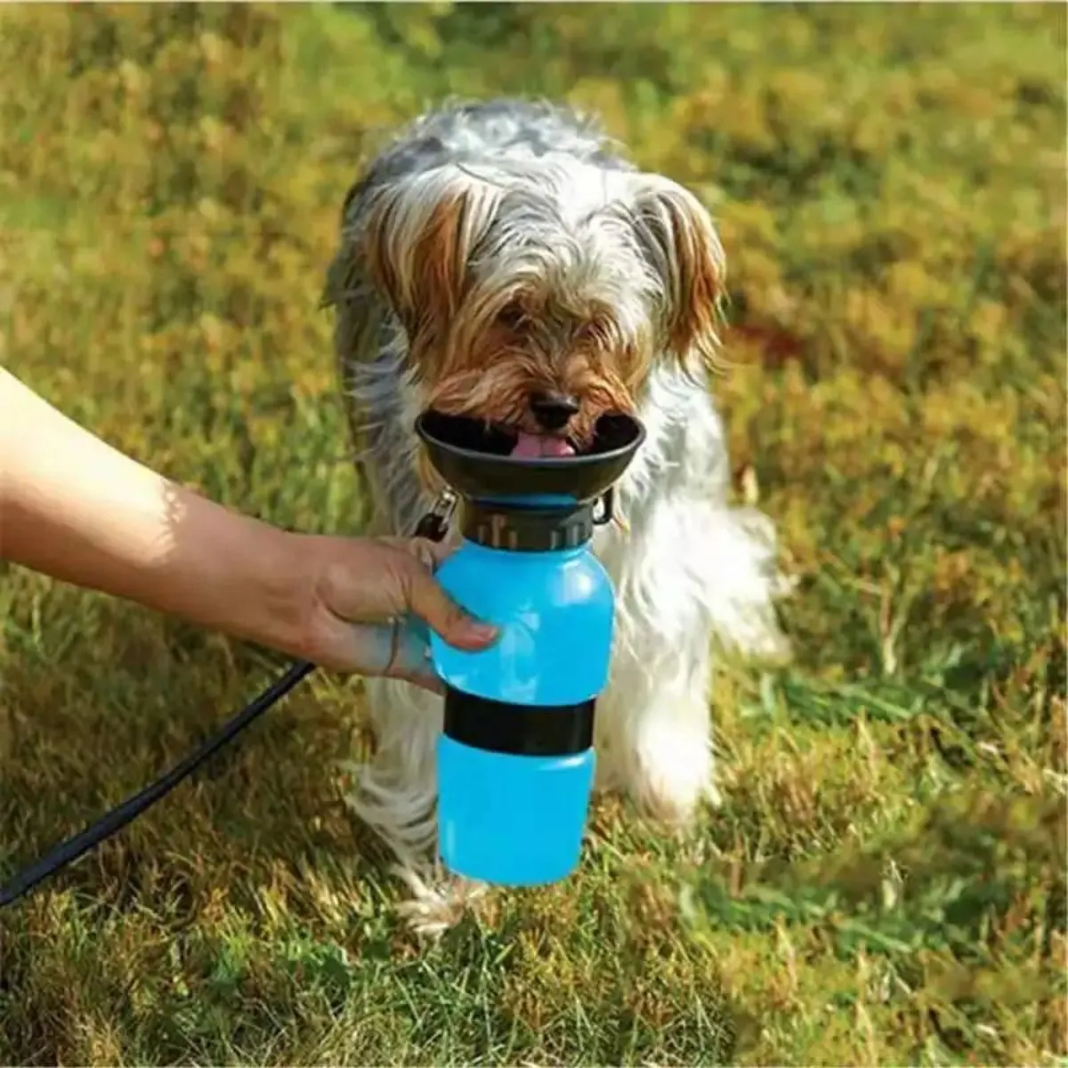 Squeeze Pet Water Bottle for Travel