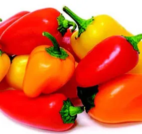 Yum-Yum Hybrid Mix Pepper Seeds (Treated)